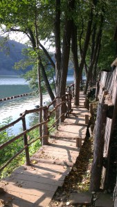 a photo I finally got with no tourists in it :P